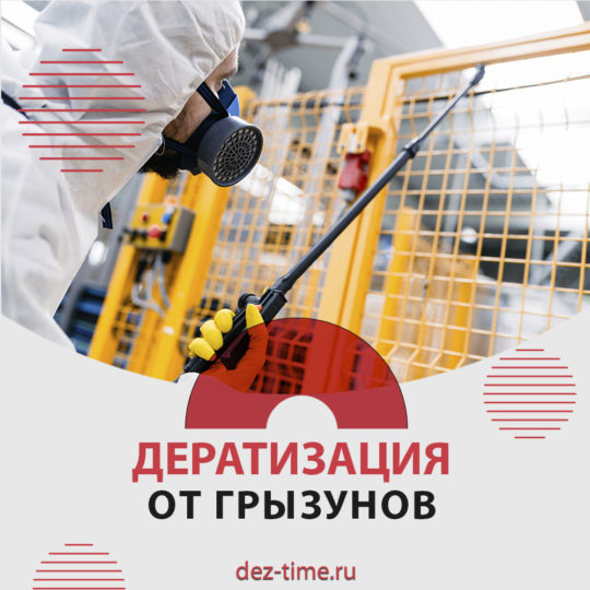 Дератизация от грызунов!