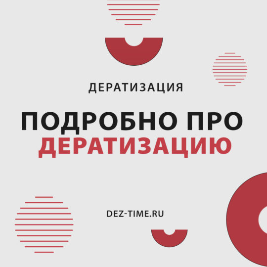 Подробно про дератизацию!