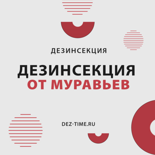 Дезинсекция от муравьев!