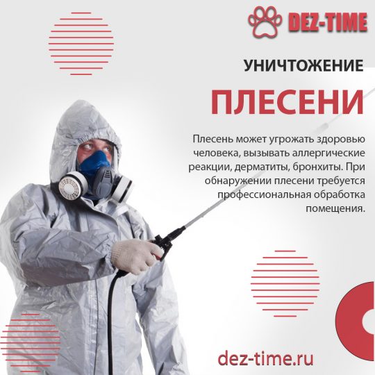 Уничтожение плесени профессионалами!