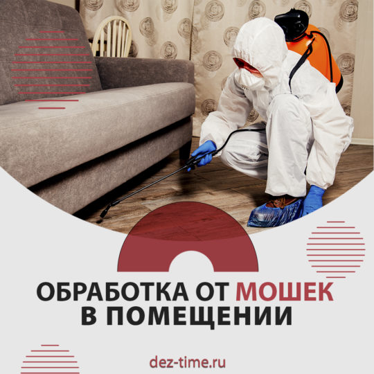 Обработка от мошек в помещении!
