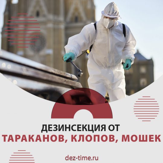 Дезинсекция от тараканов, клопов, мошек!