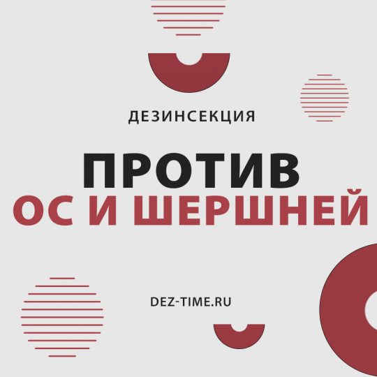 Дезинсекция против ос и шершней!