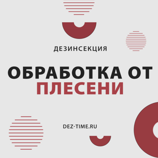 Обработка от плесени!