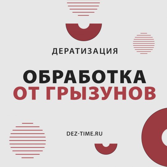 Обработка от грызунов!