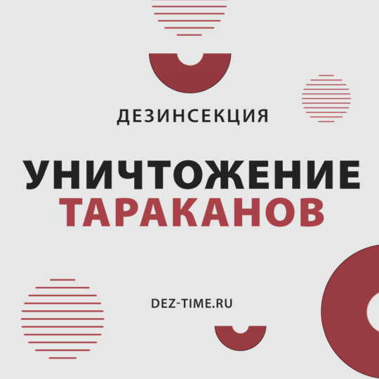 Уничтожение тараканов!