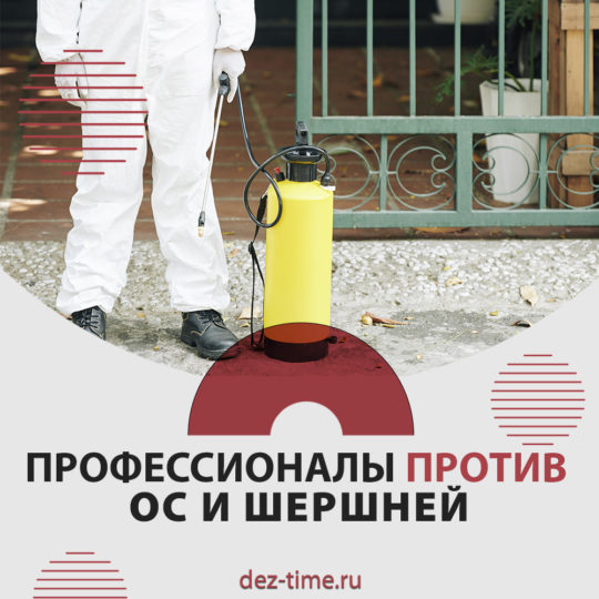 Профессионалы против ос и шершней!