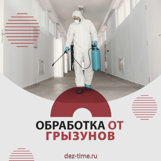 Обработка от грызунов!
