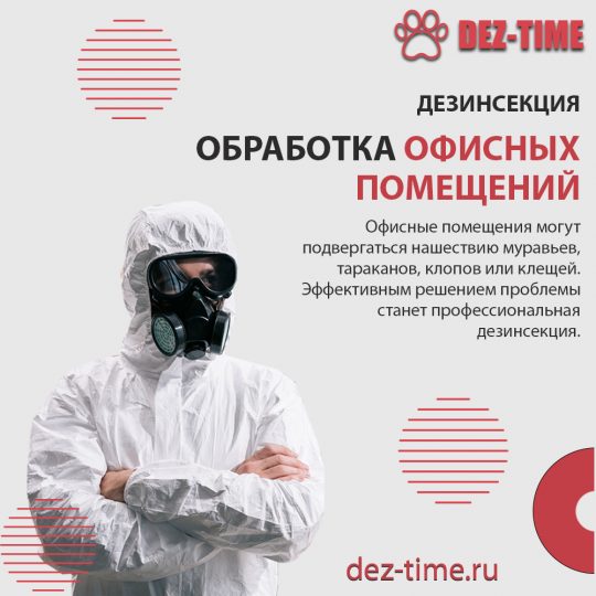 Дезинсекция офиса!