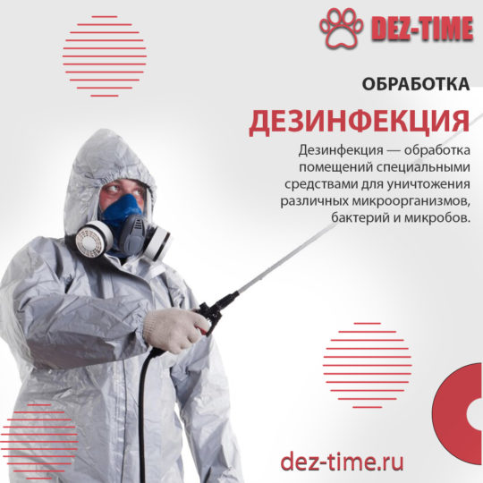 Дезинфекция!