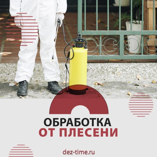 Обработка от плесени!