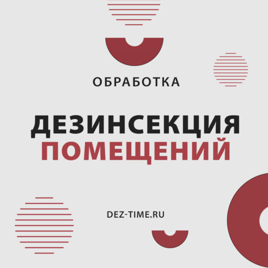 Дезинсекция помещений!