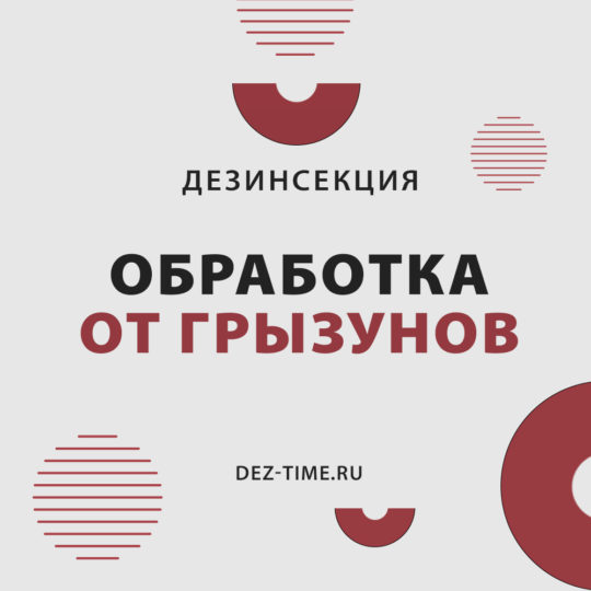 Обработка от грызунов!