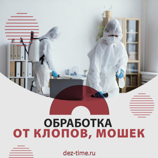 Обработка от клопов, мошек!