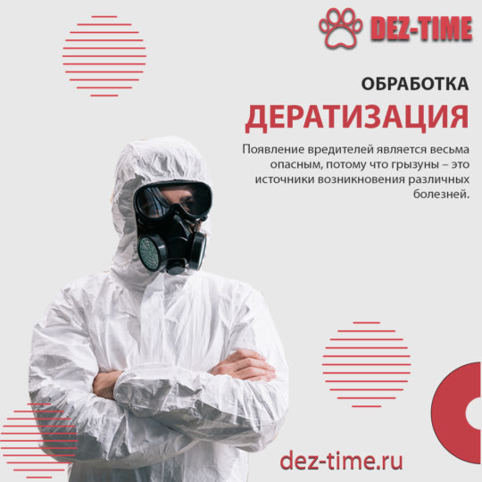 Дератизация