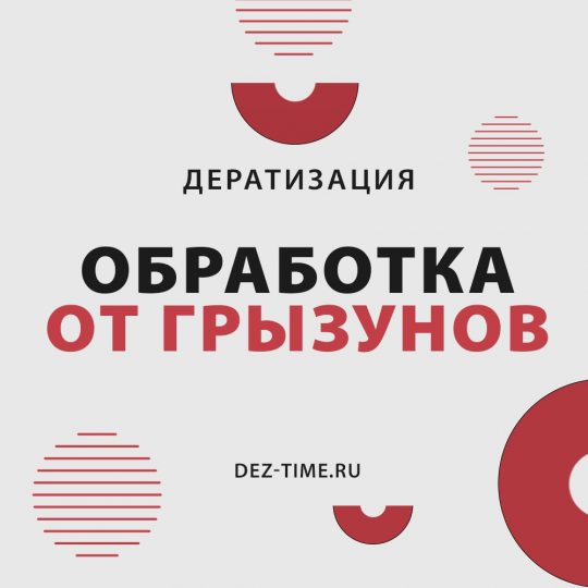 Обработка от грызунов