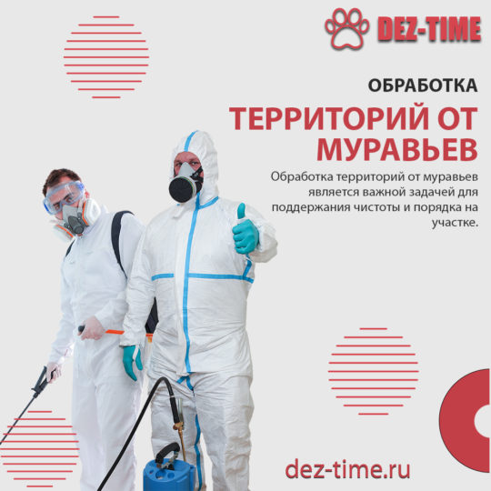 Обработка территорий от муравьев