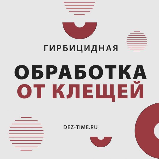 Обработка от клещей