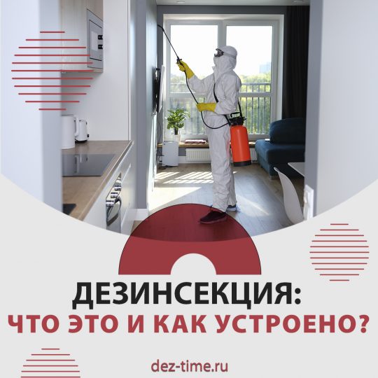 Дезинсекция: что это и как устроено?