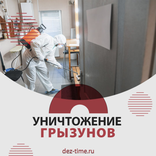 Уничтожение грызунов