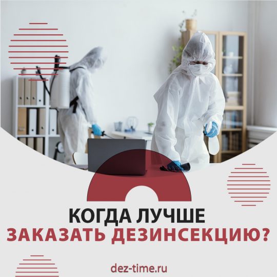 Когда лучше заказать дезинсекцию?