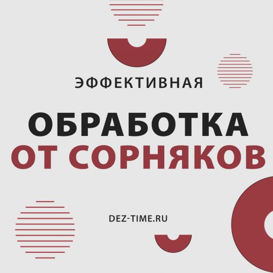 Эффективная обработка от сорняков